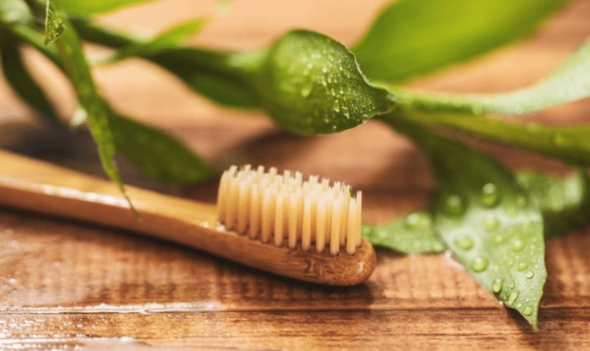 Eco-friendly Oral Care: Sustainable Practices For A Greener Smile In 2024