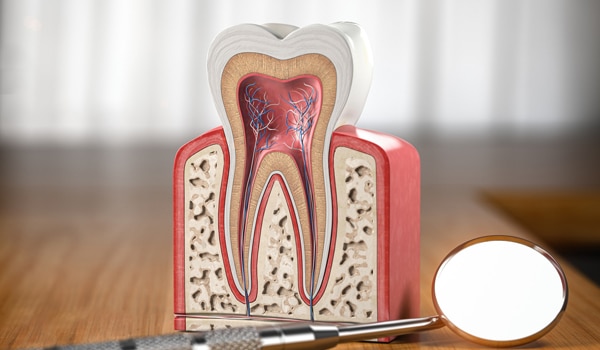 Dental root canals cypress - fair lakes family dentistry